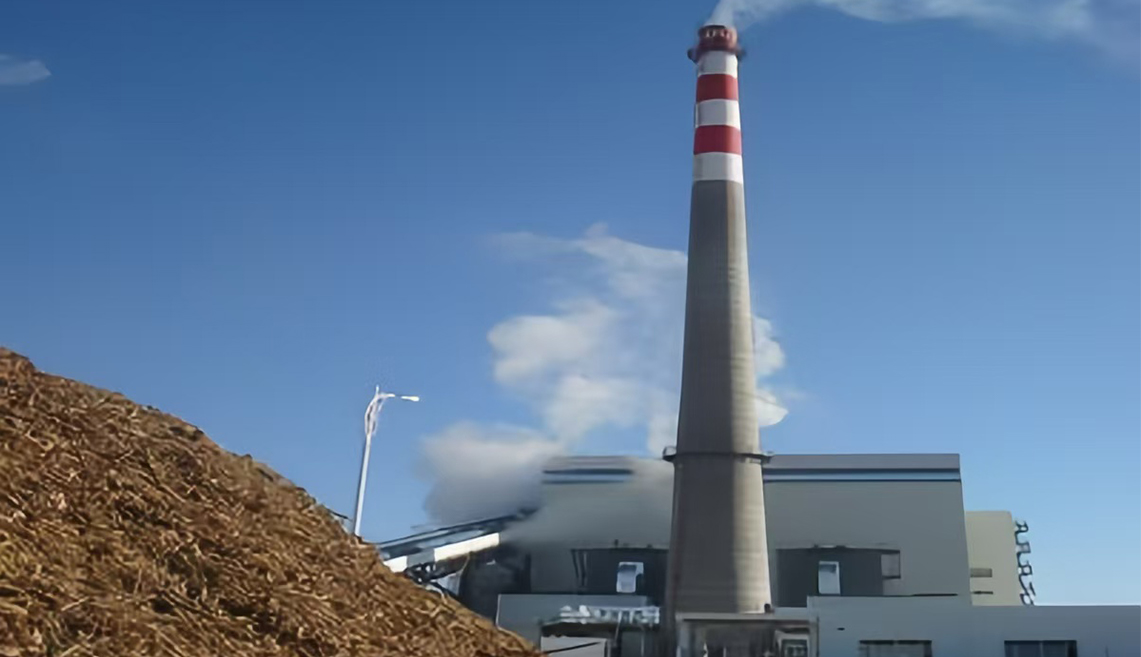 Wuhan Kaidi Power Biomasse Power Generation Project