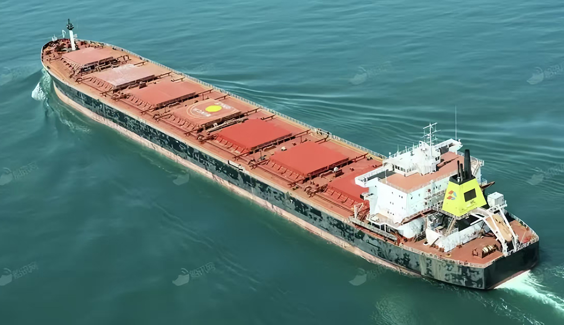 Wuhan Zhongyang Qingyuan Trading Co., Ltd. 6600dwt Bulk Carrier