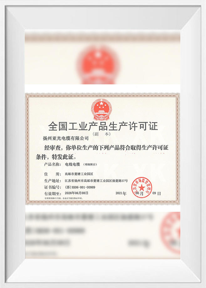 2021 Produktionslicens